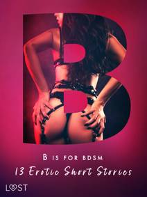 Obálka B is for BDSM: 13 Erotic Short Stories