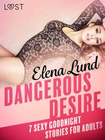 Obálka Dangerous Desire - 7 sexy goodnight stories for adults