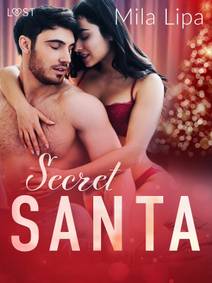 Obálka Secret Santa – Erotic Christmas Story