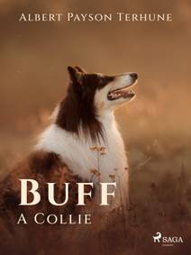 Obálka Buff: A Collie