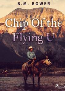 Obálka Chip Of the Flying U