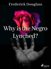 Obálka Why is the Negro Lynched?