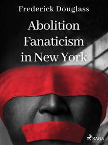 Obálka Abolition Fanaticism in New York