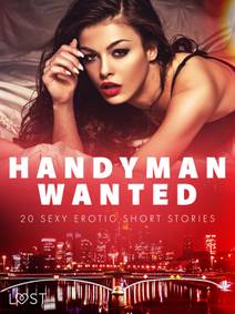 Obálka Handyman Wanted - 20 Sexy Erotic Short Stories