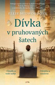 Obálka Dívka v pruhovaných šatech