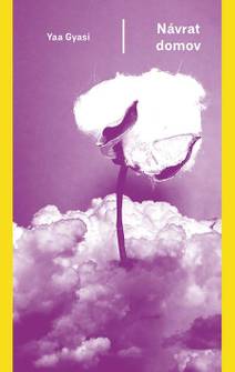 Obálka Návrat domov