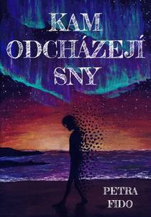 Obálka Kam odcházejí sny