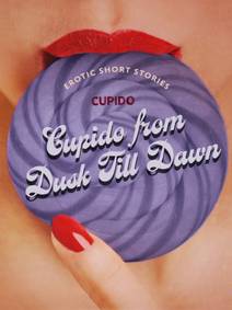 Obálka Cupido from Dusk Till Dawn: A Collection of the Best Erotic Short Stories