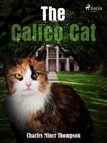 Obálka The Calico Cat