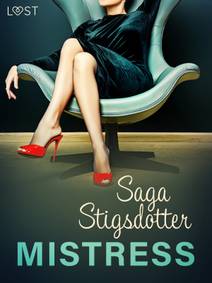 Obálka Mistress – Erotic Short Story