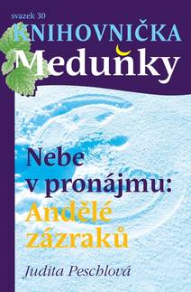 Obálka Nebe v pronájmu: Andělé zázraků