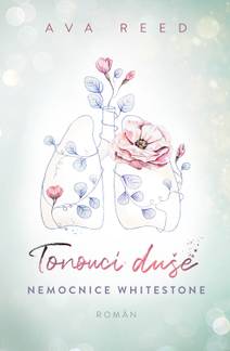 Obálka Tonoucí duše