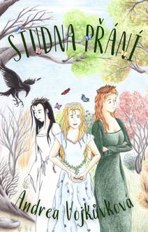 Obálka Studna přání