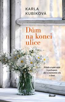 Obálka Dům na konci ulice