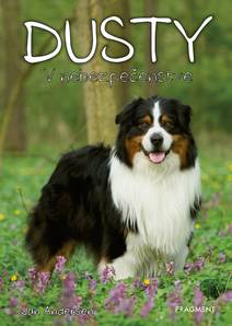 Obálka Dusty 2: V nebezpečenstve