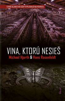 Obálka Vina, ktorú nesieš