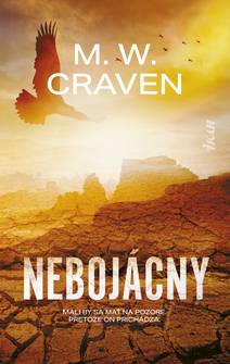 Obálka Nebojácny