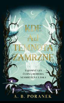 Obálka Kde aj temnota zamrzne