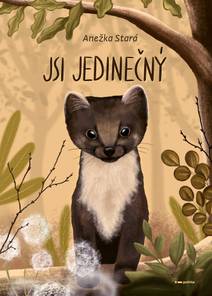 Obálka Jsi jedinečný