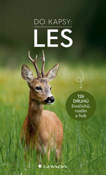 Obálka Les - Do kapsy