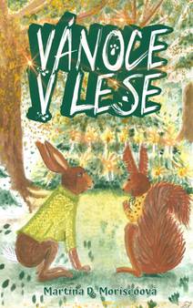Obálka Vánoce v lese