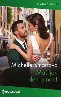 Obálka Máš jen den a noc!