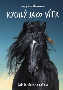 Obálka Rychlý jako vítr: Jak to všechno začalo
