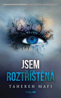 Obálka Jsem roztříštěná