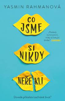 Obálka Co jsme si nikdy neřekli