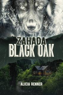 Obálka Záhada Black Oak