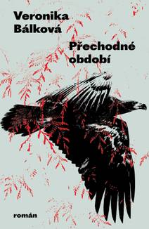 Obálka Přechodné období