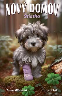 Obálka Nový domov – Štístko