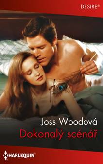 Obálka Dokonalý scénář