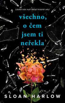 Obálka Všechno, o čem jsem ti neřekla