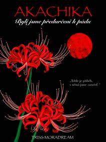 Obálka Akachika