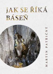 Obálka Jak se říká kniha