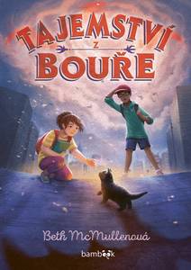 Obálka Tajemství z bouře