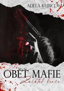 Obálka Začátek konce