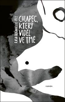 Obálka Chlapec, který viděl ve tmě