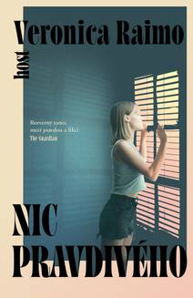 Obálka Nic pravdivého