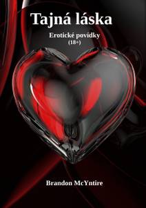 Obálka Tajná láska