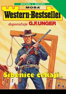 Obálka Šibenice čekají