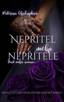 Obálka Nepřítel mého nepřítele