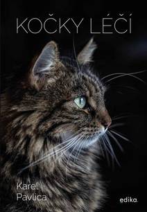Obálka Kočky léčí