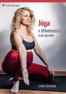 Obálka Jóga v těhotenství a po porodu