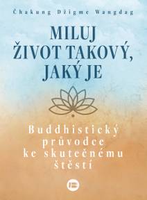 Obálka Miluj život takový, jaký je