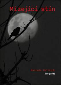 Obálka Mizející stín