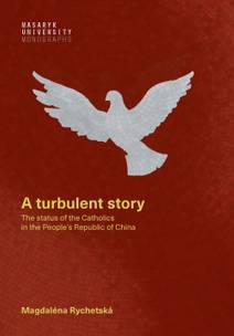 Obálka A turbulent story