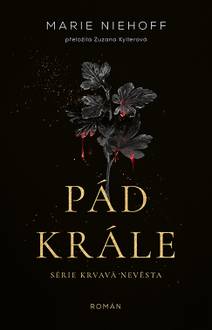 Obálka Pád krále