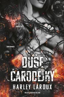 Obálka Duše čarodějky